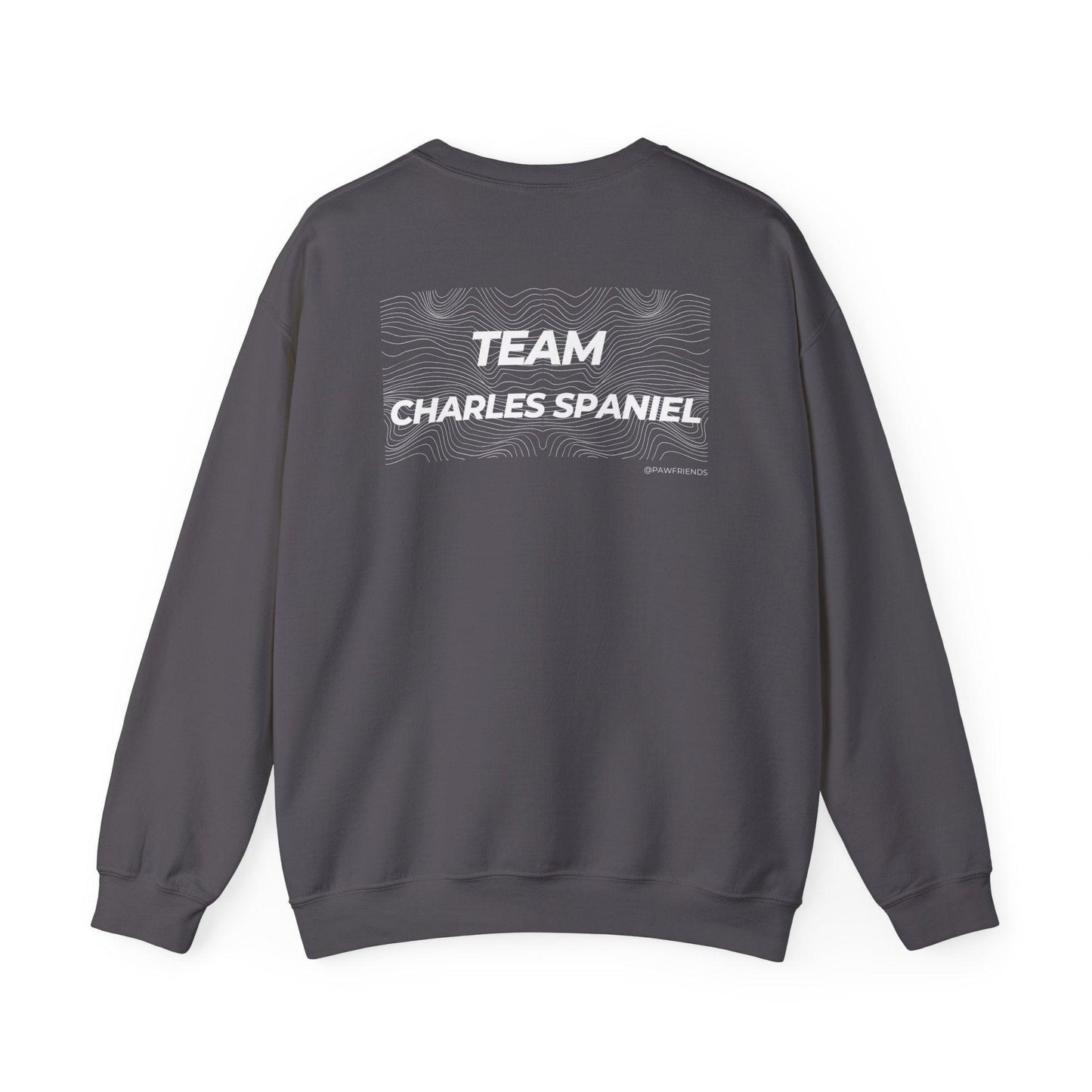 Team Charles Spaniel Sweatshirt